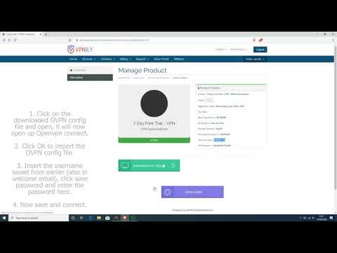 VPNILY VPN   How To Connect To OpenVPN Windows App