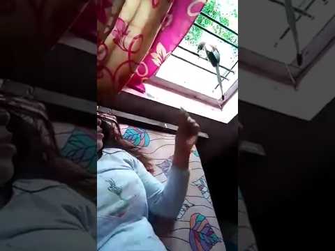 🐦🤗☺️