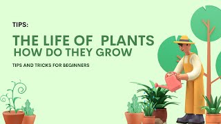 How Plants Grow: Fun and Easy Learning for Kids