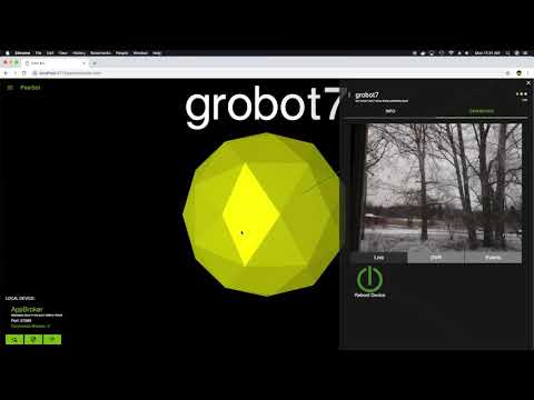 Peerbot 20190211