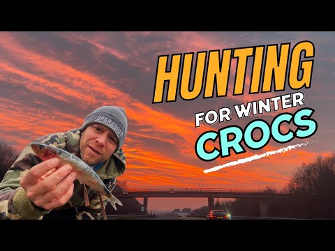Feb Croc Chasing!
