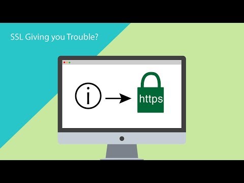 How to Add SSL to Your Entire WordPress Website on Flywheel Hosting