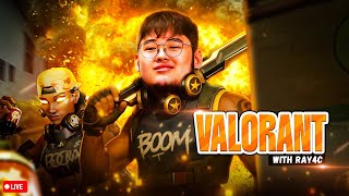 Radiant RAZE only Grind