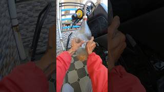 Desi trick to extract petrol 😅
