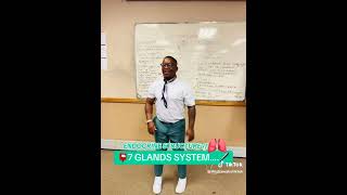 endocrine system grade 12 life sciences