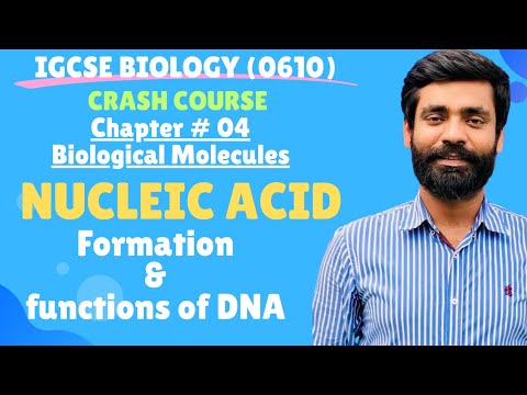 IGCSE Biology| **Chapter #04 Biological Molecules (DNA)**