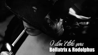 I don't like you | Bellatrix & Rodolphus AU [HP]