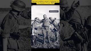 German Soldiers Escort a Prisoner – Eastern Front 1941 | Rare WWII Historical Footage #history #ww2