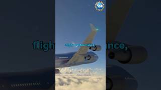 Could Bird Feathers Improve Flight Safety? #shorts #science #engineering
