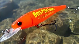 Best Lure Colors for Pike Fishing 🎨 | How Water Clarity Affects Pike Strikes 