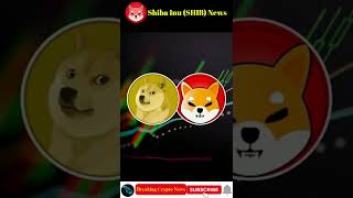Breaking Crypto News | SHIB Outperforms DOGE