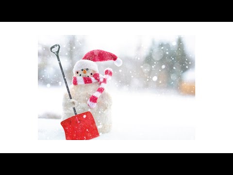 Snowstorm