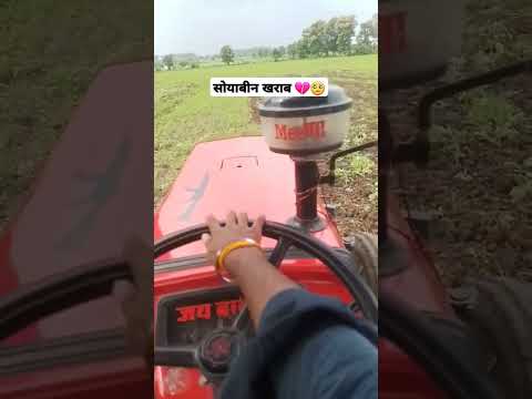 सोयाबीन खराब  💔🥺 #agriculturefarming #farming #farmingsystem #automobile #farmer #ku