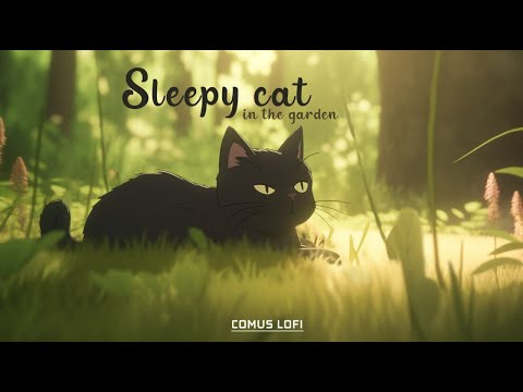 sleepy cat in the garden 💤 lofi cat • chill beats to relax/study to