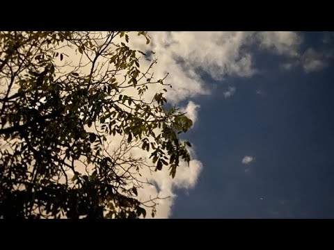 O Del Suh Mugo Zod - GGCC Oldie