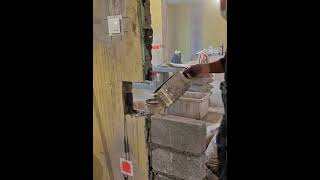 When Building Walls for Home Renovation, Don't Forget Self Made Horse Teeth for Strength!