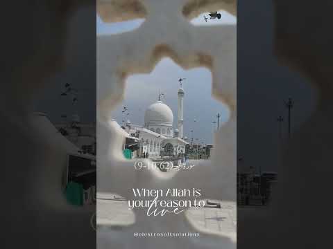 Embracing the Holiness of Jumu'ah #friday #muslim #holiness #viral #ytshorts