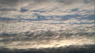 RC JET FIRST FLIGHT. BY CRAZY JET MAN ANTONY 6