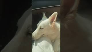 I don't even know where this video came from but it was the last one in my cube so here it is #dlm