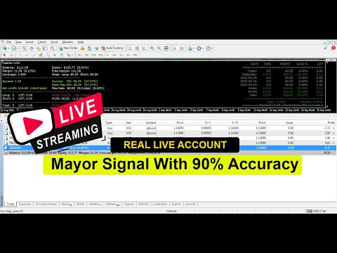 Live Trading Forex (Mayor Pairs Forex) | Free Signals 24/7 September 2022