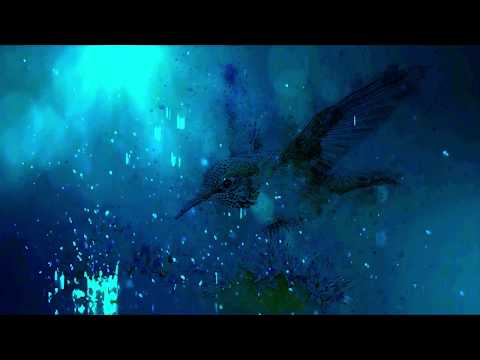 Rainfall Particle Background Epic Bird Art with sound HD