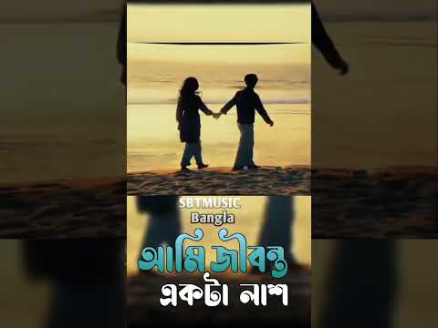 আমি জীবন্ত একটা লাশ _ SBT music Bangla Official _ বুকফাটা কষ্টের গান _ বিচ্ছেদ গা 14, 2025