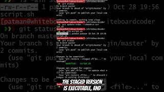 git: Make file executable #coding #git #gittutorial #github