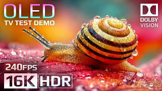 16K HDR 240fps OLED Test Demo | Ultimate Dolby Vision™ Experience