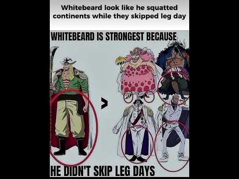 The reason why WB is The strongest💪 #onepiece #whitebeard #onepiecememe