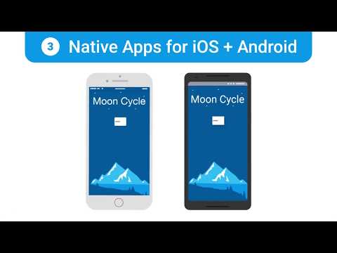 Introduction to Flutter for Beginners.