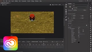Use Adobe Animate to Design Simple Interactive Content | Adobe Creative Cloud