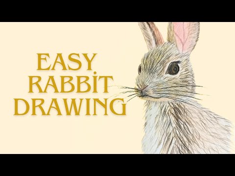 How to draw a cute rabbit | Easy Drawing Tutorial for Beginners 🐇 #colorpainting #rabbitdrawing