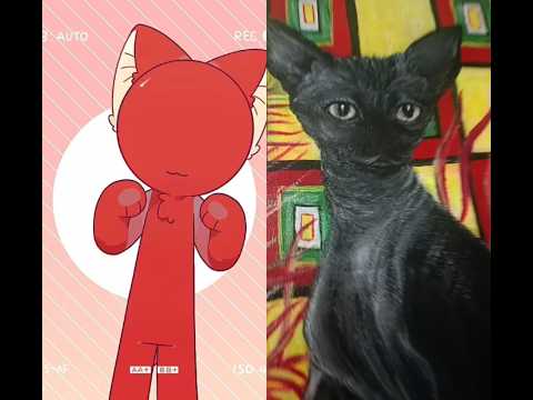 Labubusinka dance 📽️🎭ArtCat