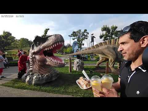 PNE 2019