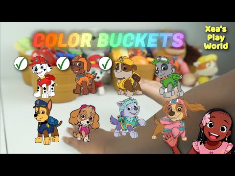 Paw Patrol Color Learning Video - Marshall, Zuma, Rubble and Xea!