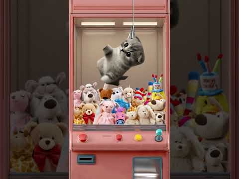 Magical Plush Folding: Transforming Stuffed Animals!#MagicalPlushFolding#StuffedAnimalHacks