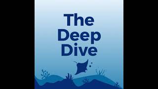 The Deep Dive Episode 4: Reactive frontend frameworks