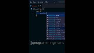The first time using Css #shorts #meme