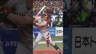 ノイジーの意地 #阪神 #日本一 #ノイジー #ホームラン