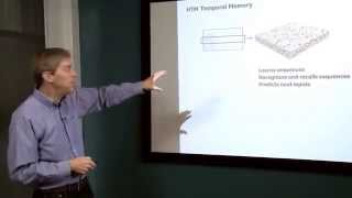 What the Brain says about Machine Intelligence