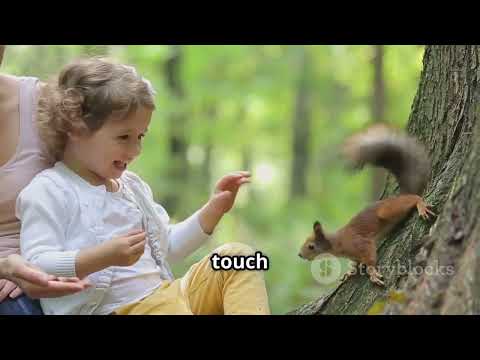 The Forest Friends and the Gift of Respect