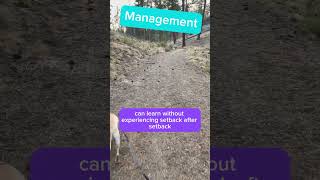 Understanding where to get started with your dog’s reactivity makes all the difference! - Part 1