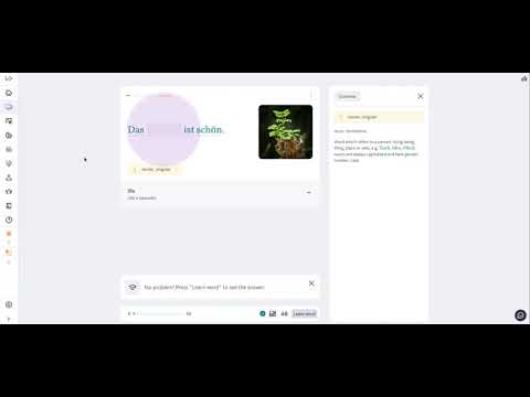 Lingvist - Quick Review