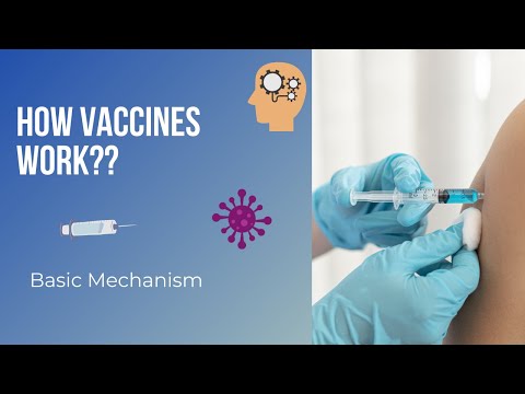 How vaccines work | Basic Mechanism | Vaccines #2