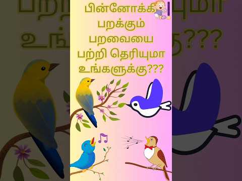 பின்னோக்கி பறக்கும் பறவை|#bird#hummingbird#unknownfactsintamil#funfacts#fun#shorts#funfactsintamil