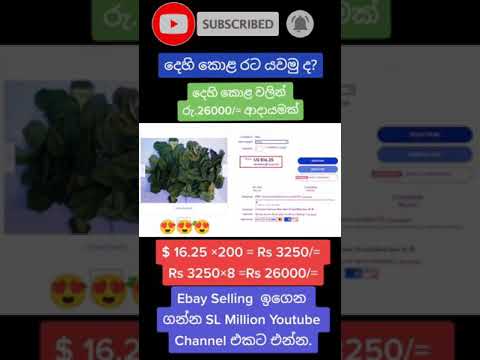 වේලාගත් දෙහි කොළ රට යවලා සල්ලි හොයමු | Best Selling Directshipping item on ebay 2021 #shorts 09
