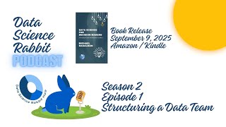 How to Structure a Data Team (Data Science Rabbit Podcast S2E1)