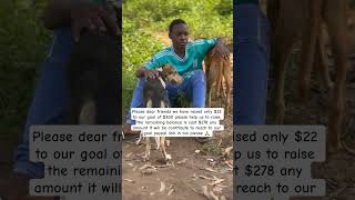 Help us to reach to our goal of $300 paypal link in bio #paypalcampagin #paymentlink #pets #goviral