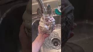 AI revolution in 60 seconds 🔥 #shorts