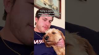 Confused Puppy with Multiple Moms#puppylove #dogmom #cutedog #petproblems